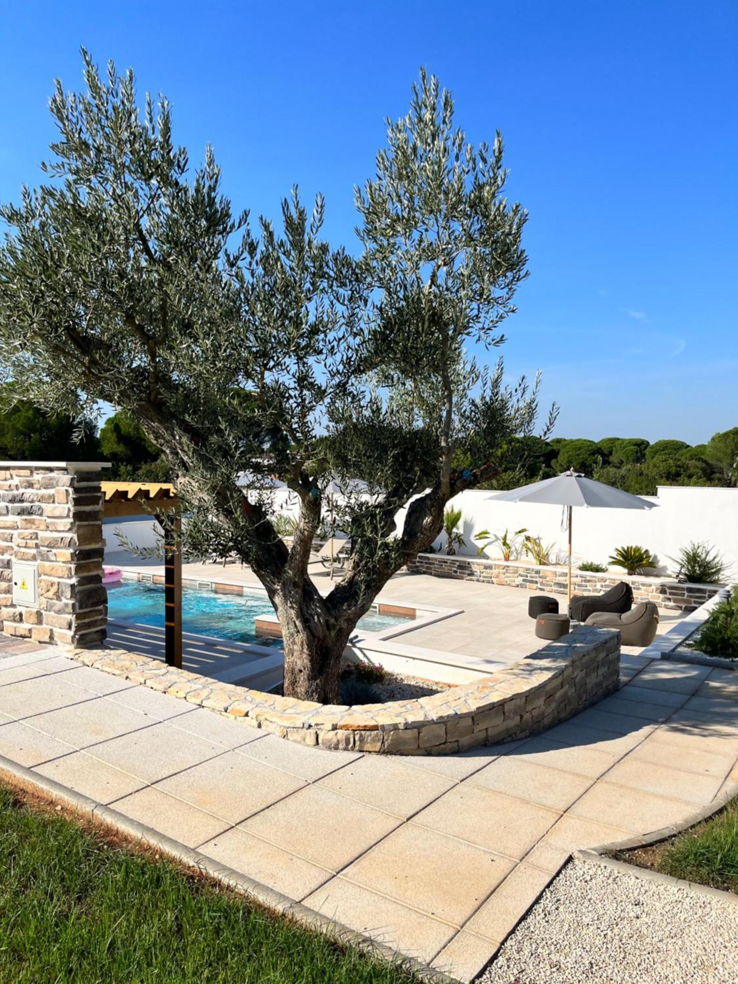 Olivea Luxury Suites Fažana エクステリア 写真